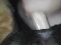 Big horse dick wrecking a whore's butthole